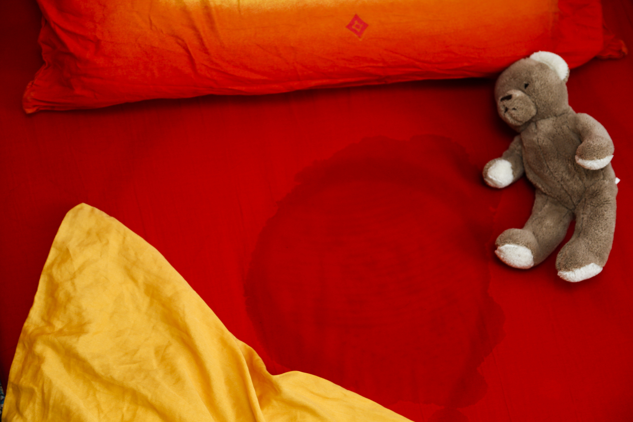 How to get cat pee out 2024 of a mattress